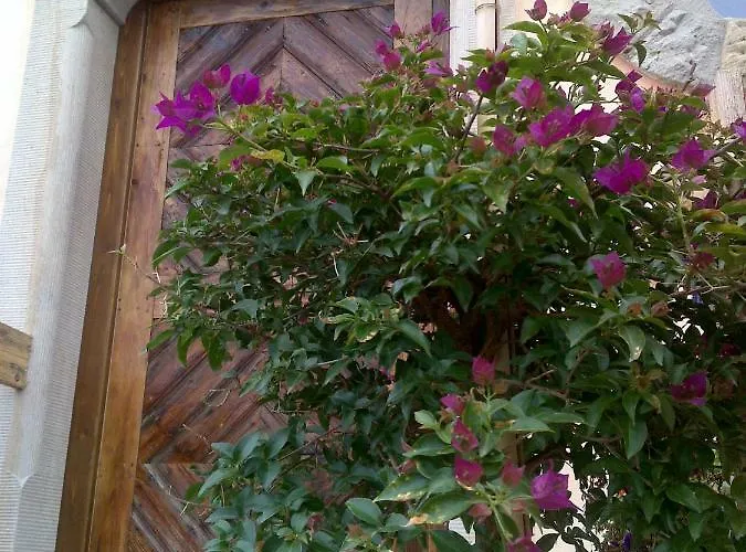 Romantische Gerichtsstube Im Rittergut Leppersdorf Bei Radeberg Fuer 6 Pers Apartment *